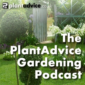 The PlantAdvice Gardening Podcast