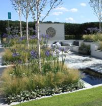 RHS Tatton Park flower show, show garden