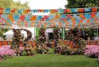 RHS Hampton Court Flower Show 2019