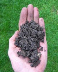 Soil Science Simplified