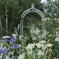 RHS Hampton Court Flower Show 2014