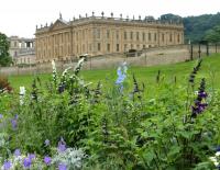 RHS Chatsworth Flower Show 2018