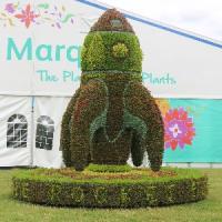 RHS Hampton Court Palace Flower Show 2016