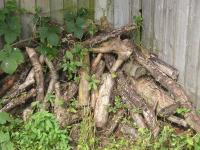 Site Clearance for a New Garden