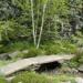 RHS Chelsea 2012 - The Bronts' Yorkshire Garden 