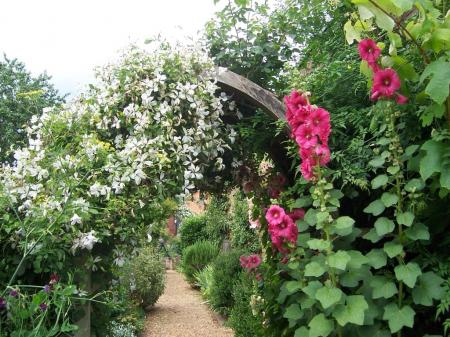  King John's Garden, Romsey #2