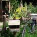 RHS Chelsea 2009 - The Fenland Alchemist Garden