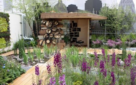 RHS Chelsea 2013 - RBC Blue Water Roof Garden