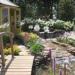 RHS Tatton Park 2014 - The Water Garden