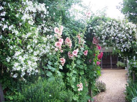  King John's Garden, Romsey #1