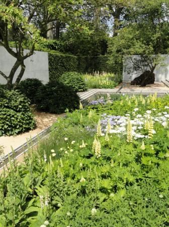 RHS Chelsea 2014 - The Laurent-Perrier Garden