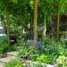 RHS Chelsea 2017 - The Poetry Lovers Garden