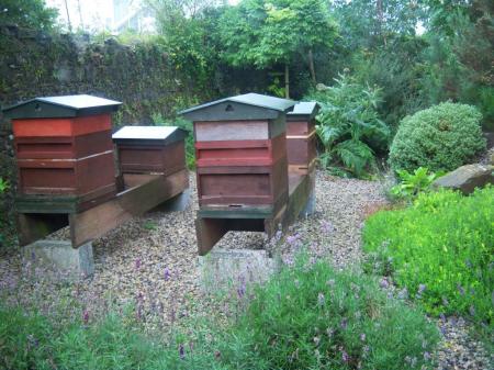 The Bee Garden at the National Botanic Gardens of Wales