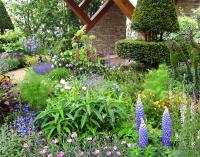 Lupins in Chris Beardshaw's garden at the RHS Chelsea flower show 2017